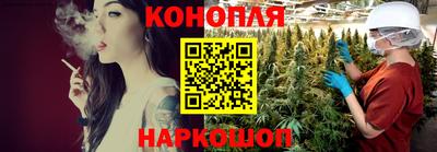 сатива Абакан